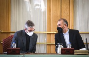 امیرعبداللهیان: باقری با جدیت و در هماهنگی کامل با من به مذاکرات ادامه می‌دهد