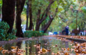 کاهش دمای هوا/ رگبار باران و وزش باد در نوار شمالی کشور