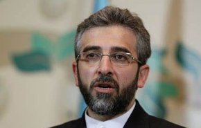باقری: بزرگترین نقض حقوق بشر، سیاست‌زده کردن آن است