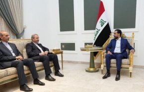 دیدار الحلبوسی با سفیر ایران در بغداد/ تاکید بر بر اهمیت فعالیت دیپلماتیک