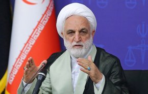 اژه ای: دستگاه های اطلاعاتی دست های پشت پرده بی حجابی را پیدا کنند