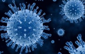 فيروس الإنفلونزا يمكن أن يؤثر على شدة SARS-CoV-2