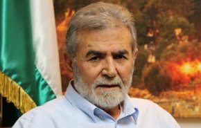 نخاله: هدف از سفر بایدن تامین امنیت صهیونیست ها است  