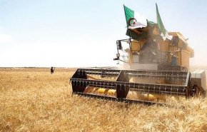 الجزائر.. 'قطب فلاحي جديد' لحماية الأمن الغذائي