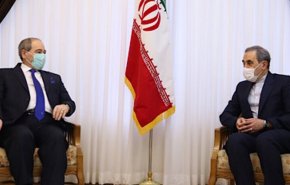 ولایتی در دیدار وزیر خارجه سوریه: همکاری‌ها برای اخراج ته مانده‌های آمریکا از منطقه با قوت ادامه یابد