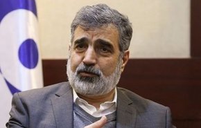 کمالوندی: مدیرکل آژانس به جای ملاحظات سیاسی به جنبه‌های فنی توجه کند