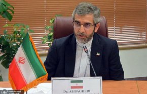 باقری: آمریکا باید قدردان فرصتی باشد که با سخاوتمندی اعضای برجام فراهم شده است