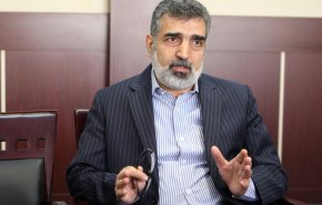 سخنگوی سازمان انرژی اتمی: در مورد پادمان در حال گفت‌وگو هستیم