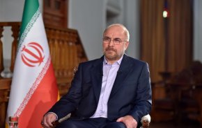 محمدباقر قالیباف: آتش رزمندگان جبهه مقاومت بر سر اشغالگران فلسطین فرود خواهد آمد