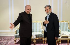 قالیباف: جهاد اسلامی فلسطین نقش مهمی در رویارویی با رژیم صهیونیستی دارد/ النخاله: توانایی وارد کردن ضربات محکم به رژیم اشغالگر در جنگ‌های طولانی مدت را داریم