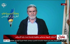 نخاله: جهاد و حماس مقاومتی واحد زیر پرچم اسلام هستند/ مقاومت همه در برابر دشمن متحدند