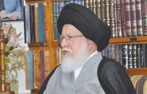 آیت الله سید حسین صدر خواهان کنار گذاشتن سلاح و خاموش کردن شعله فتنه در عراق شد
