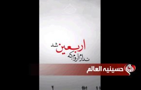 موکب العالم / ندارم آروم که اربعین شد...