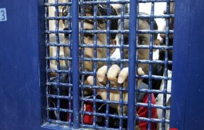آغاز اعتصاب غذای نامحدود ۱۲۰۰ اسیر فلسطینی از عصر امروز