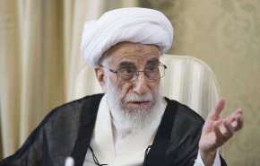 زائران اجازه ندهند اختلافات سیاسی به مراسم اربعین ضربه‌ای بزند
