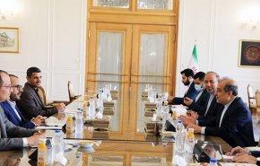 دیدار سخنگوی انصارالله با مشاور امیرعبداللهیان در تهران