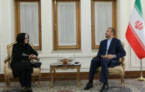 امیرعبداللهیان: در گفت‌وگو برای حفظ منافع و عزت مردم، لکنت زبان نخواهیم داشت