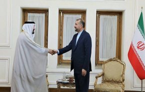 دیدار سفیر امارات در تهران با امیرعبداللهیان
