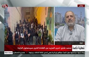 شلح در گفتگو با العالم: تشکیلات خودگردان می داند که جنگ با گروه های فلسطینی جنگی شکست خورده است