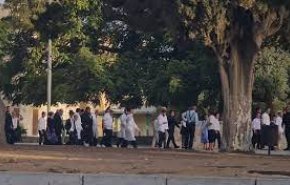 گزارش خبرنگار العالم از ادامه تجاوز وحشیانه صهیونیست ها به مسجد الاقصی
