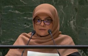 ضرورت انعقاد کنوانسیون جامع برای مبارزه با تروریسم بین‌المللی