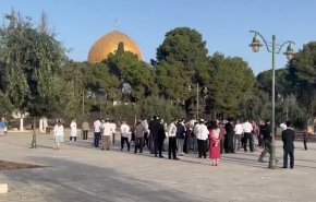 ادامه تهاجم شهرک نشینان به مسجدالاقصی