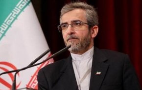 باقری: دست بسته نخواهیم بود و از هر طریقی منافع خود را دنبال می‌کنیم