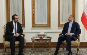 ایران هیچ سلاحی برای بکار گیری در جنگ اوکراین در اختیار هیچ طرفی قرار نداده است