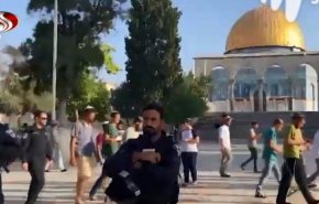 خشم فلسطینیان از آتش زدن قرآن
