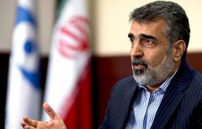 سخنگوی سازمان انرژی اتمی: دشمن گزینه‌ای جز دیپلماسی ندارد/ کشور به لحاظ آسیب‌پذیری هسته‌ای غیرقابل شکست شده است