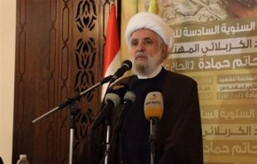 شیخ نعیم قاسم: رئیس‌جمهور آینده لبنان باید معتقد به معادله «ارتش، ملت و مقاومت» باشد
