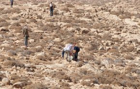 بيت لحم.. مستوطنون يعتدون على 4 فلسطينيين ومتضامنة أجنبية في قرية كيسان