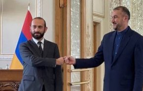 وزیر خارجه ارمنستان: از موضع اصولی و صریح ایران در قبال تمامیت ارضی ارمنستان قدردانی‌ می‌کنیم