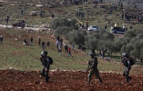 مستوطنون يعتدون على ممتلكات فلسطينية بالضفة المحتلة