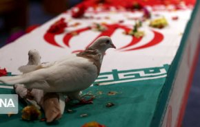 جزئیات شهادت یک پاسدار در ملایر از زبان معاون استاندار همدان