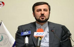 دیدار غریب آبادی با نمایندگان حدود ۱۰۰ کشور/ روشنگری درخصوص نقش مخرب برخی کشورها و رسانه‌های فارسی زبان ضد ایرانی درباره اغتشاشات