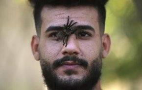 مهرجان هواة ومربي الزواحف في بغداد