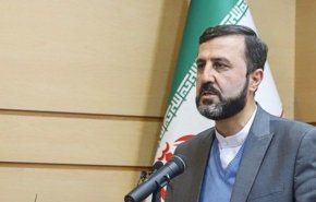 واکنش غریب آبادی به اظهارات وزیر خارجه آلمان علیه ایران