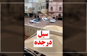 ویدئوگرافیک| سیل در جده