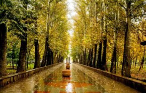 صدای پای باران می آید؛ آغاز بارش‌ها از امشب/ کاهش آلاینده‌های جوی در پایتخت