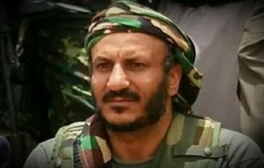 ناشط يمني: ثورة_'2ديسمبر' في مدينة تعز اليمنية