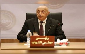 ليبيا: الخارجية والنواب يحاولان تقليص 40% من السفارات والقنصليات في الخارج