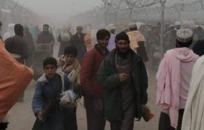 واکنش پاکستان به درگیری مرزی با طالبان