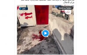 خون شهید زکارنه گواهی بر جنایات رژیم صهیونیستی 