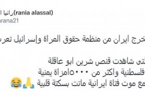 انتقاد روزنامه نگار مصری از استانداردهای دوگانه در سازمان ملل