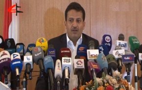 مقام یمنی: امیدواریم مصر از هرگونه اقدام خصمانه علیه یمن فاصله بگیرد