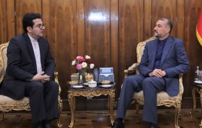 امیرعبداللهیان بر روابط خوب و ممتاز با همه همسایگان تاکید کرد