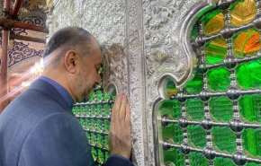 امیرعبداللهیان به زیارت حرم حضرت رقیه (س) رفت