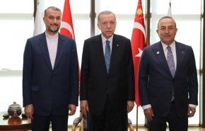 امیرعبداللهیان با اردوغان دیدار کرد