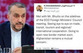 امیرعبداللهیان: افغانستان همچنان نگرانی مشترک ایران و پاکستان است